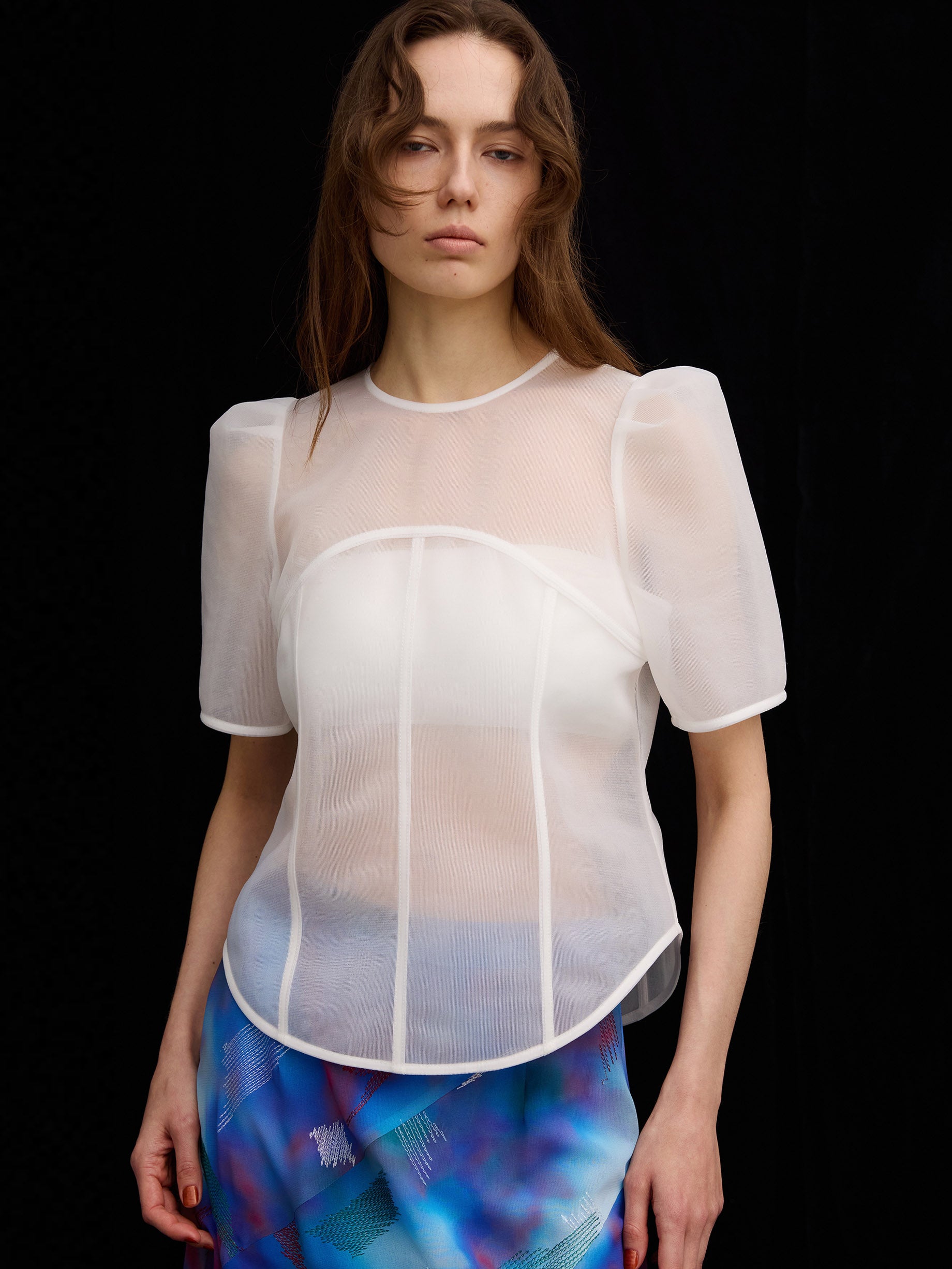 SHEER CARDBOARD PUFF SHOULDER TOP