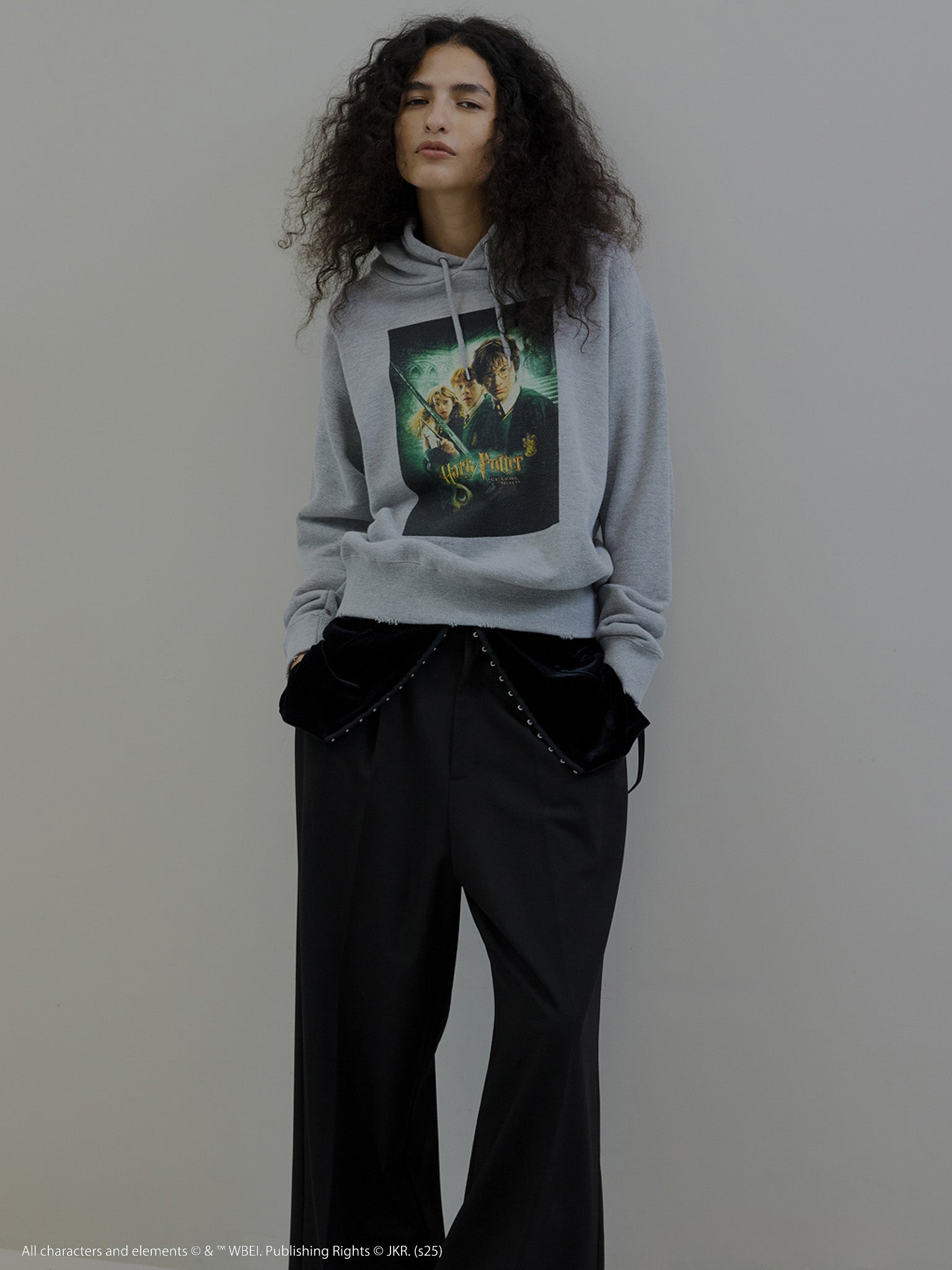 Harry Potter HEATHER HOODIE