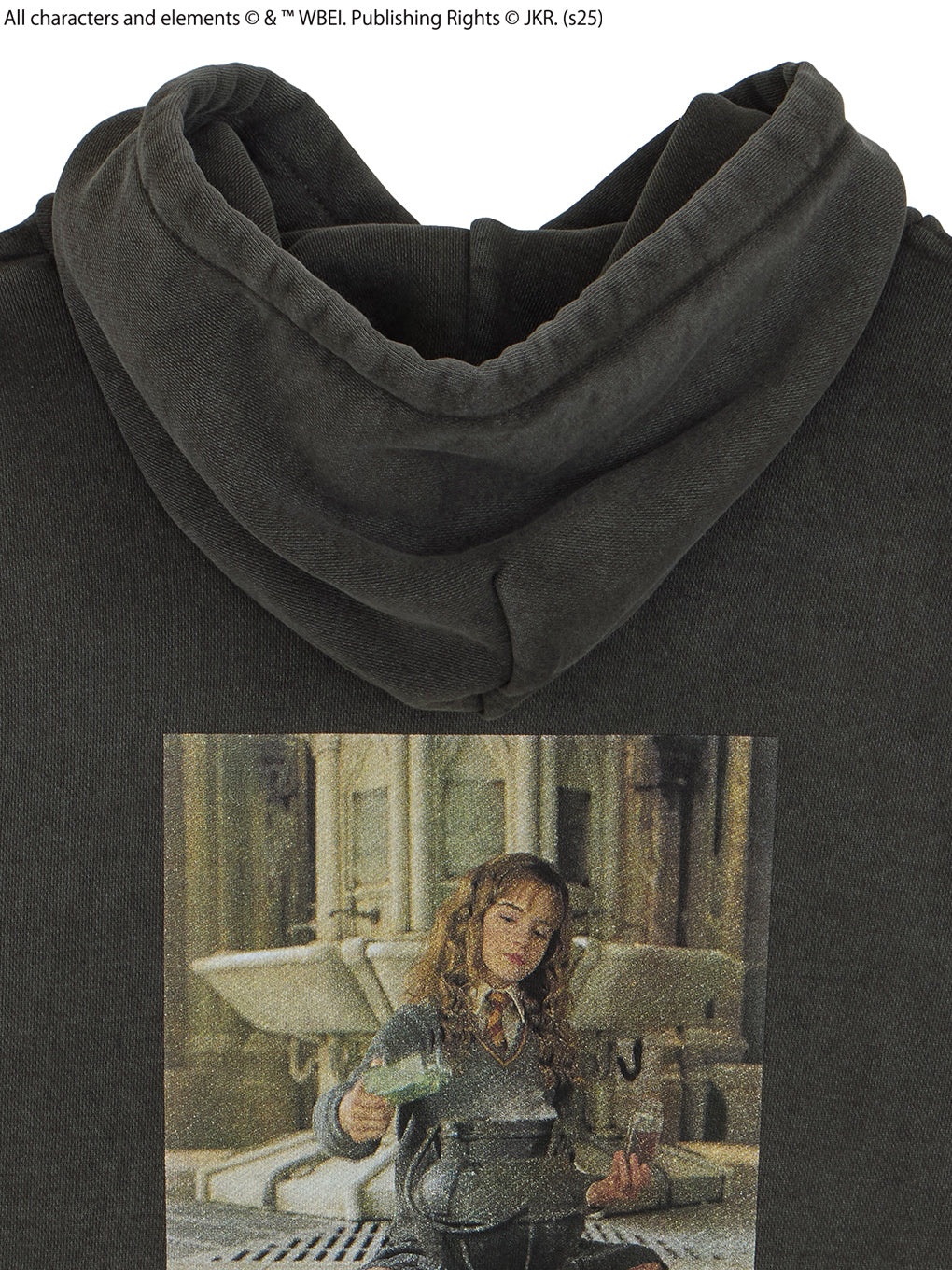 Harry Potter PIGMENT HOODIE