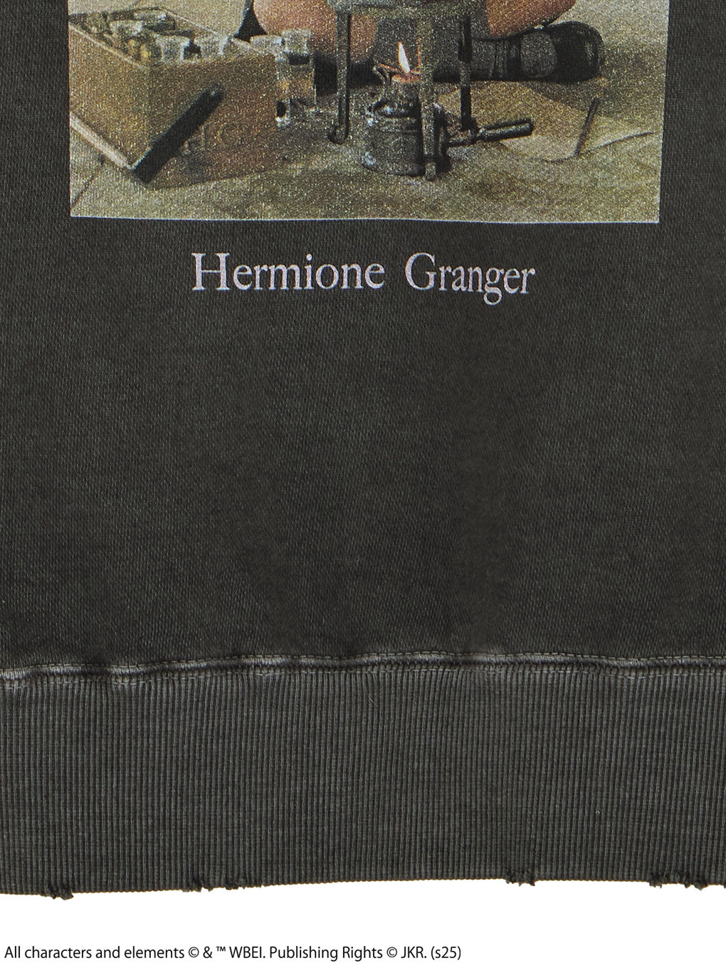 Harry Potter PIGMENT HOODIE