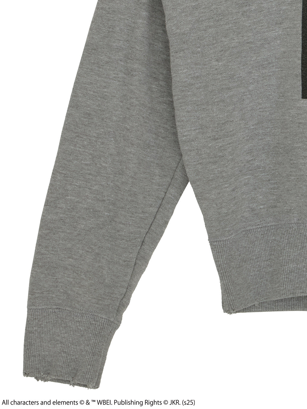 Harry Potter HEATHER HOODIE