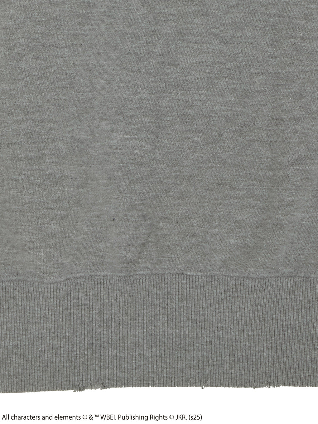 Harry Potter HEATHER HOODIE