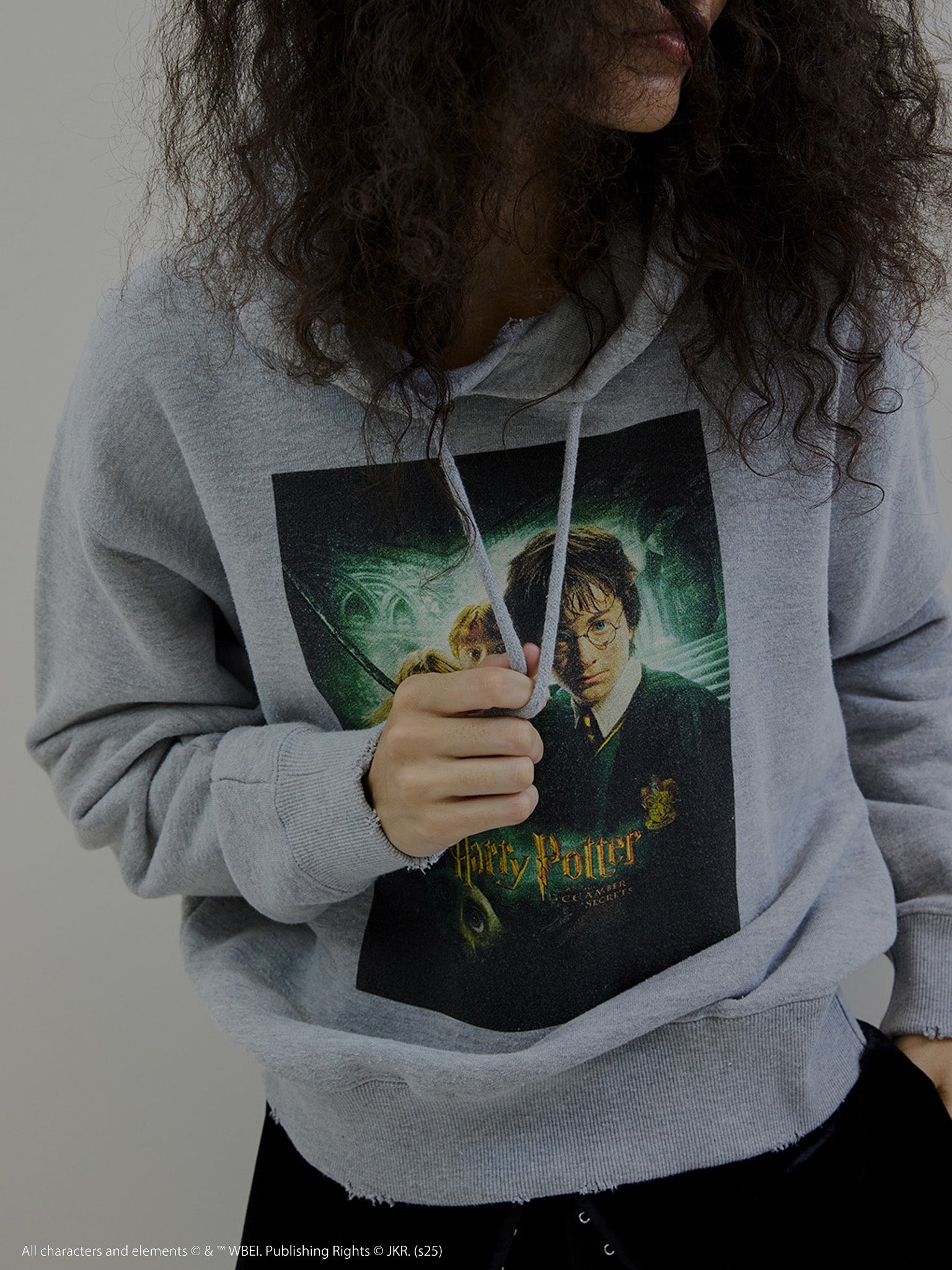 Harry Potter HEATHER HOODIE