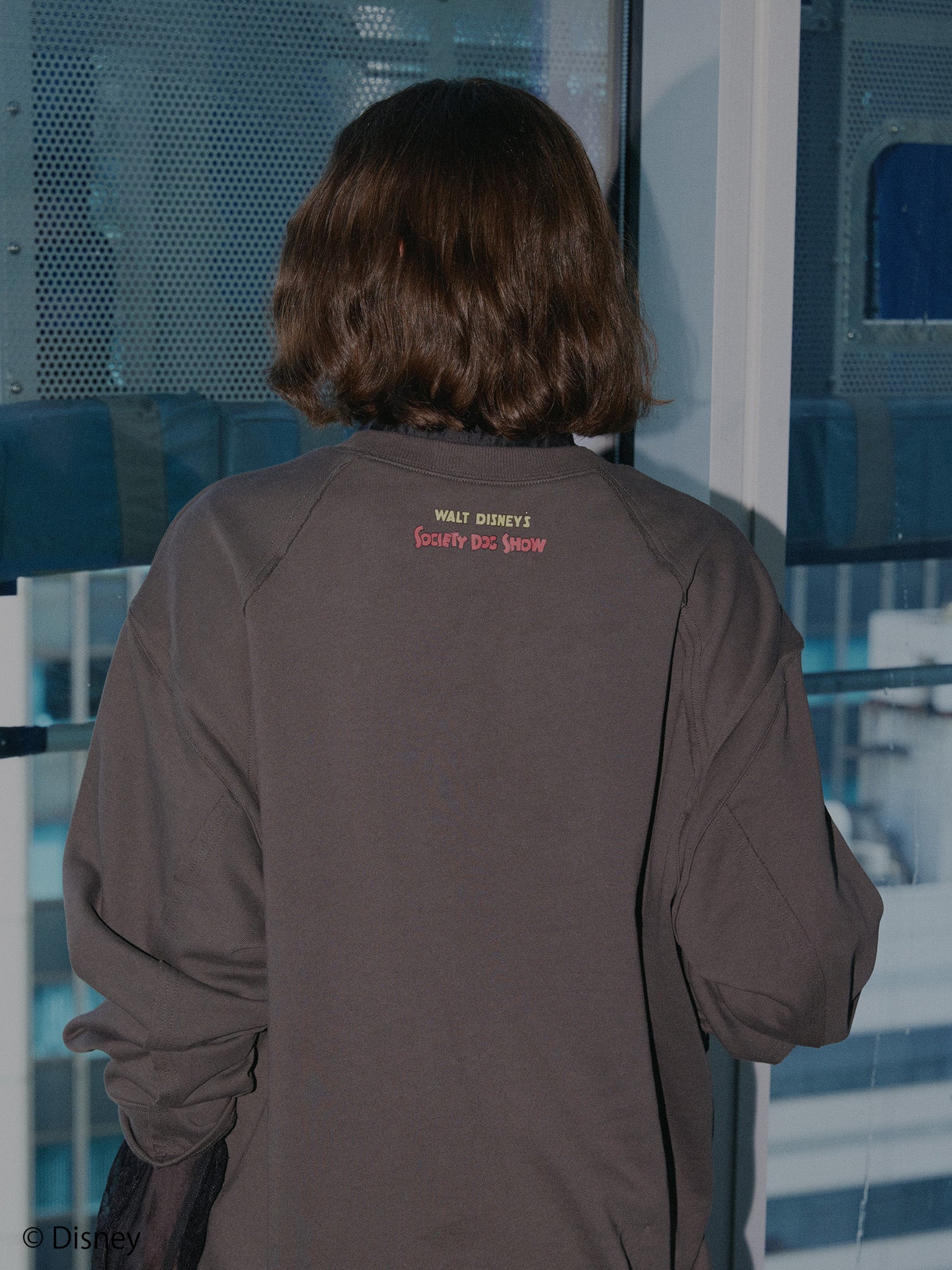 DISNEY/VINTAGE POSTER SWEAT