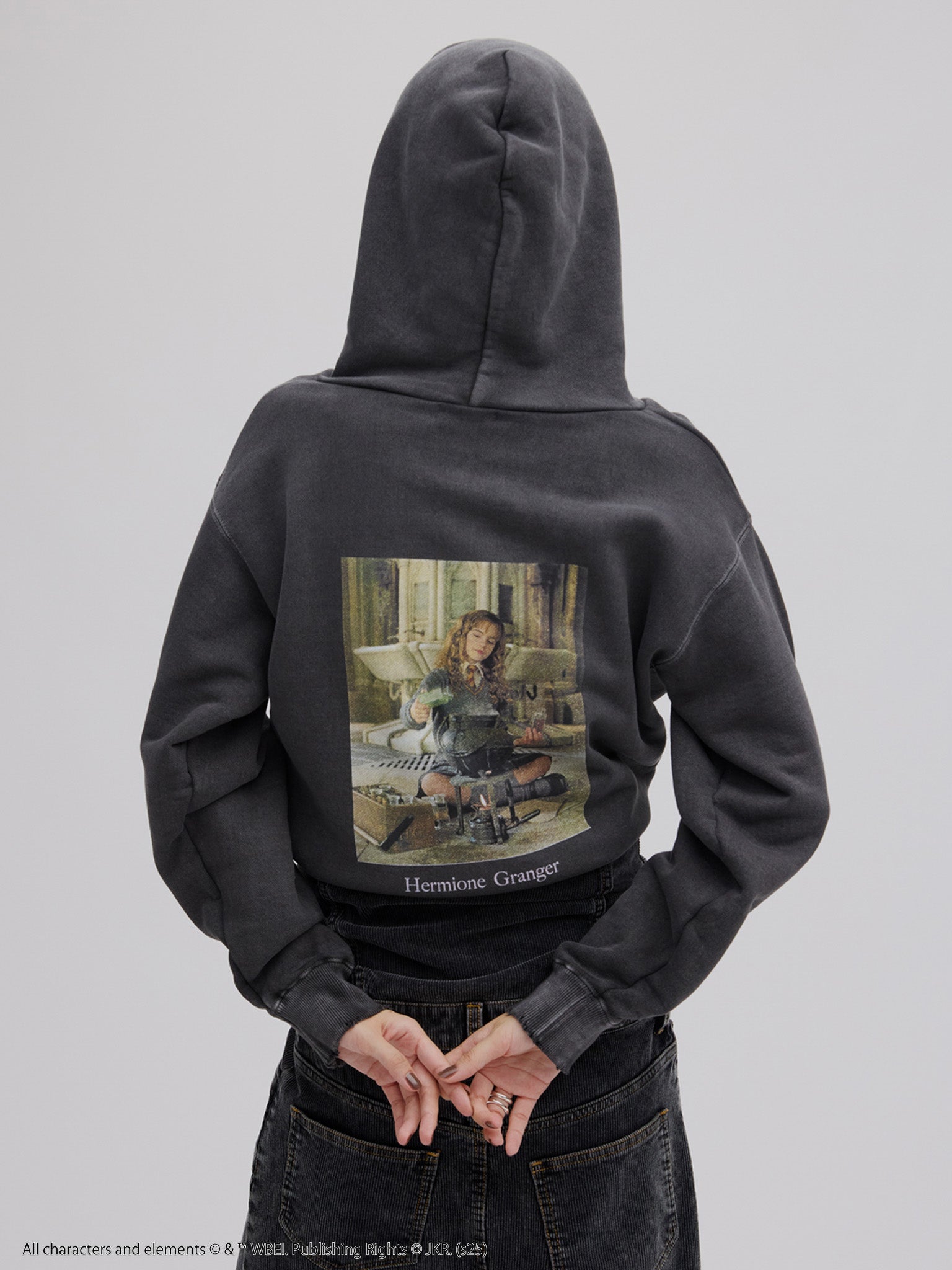 Harry Potter PIGMENT HOODIE