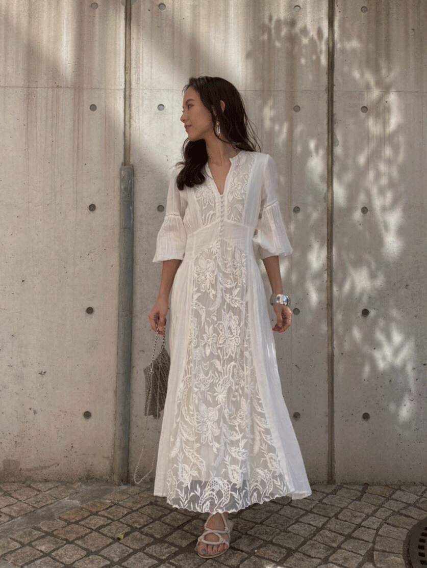 AmeriVINTAGE EMBROIDERY TULLE LACE DRESS