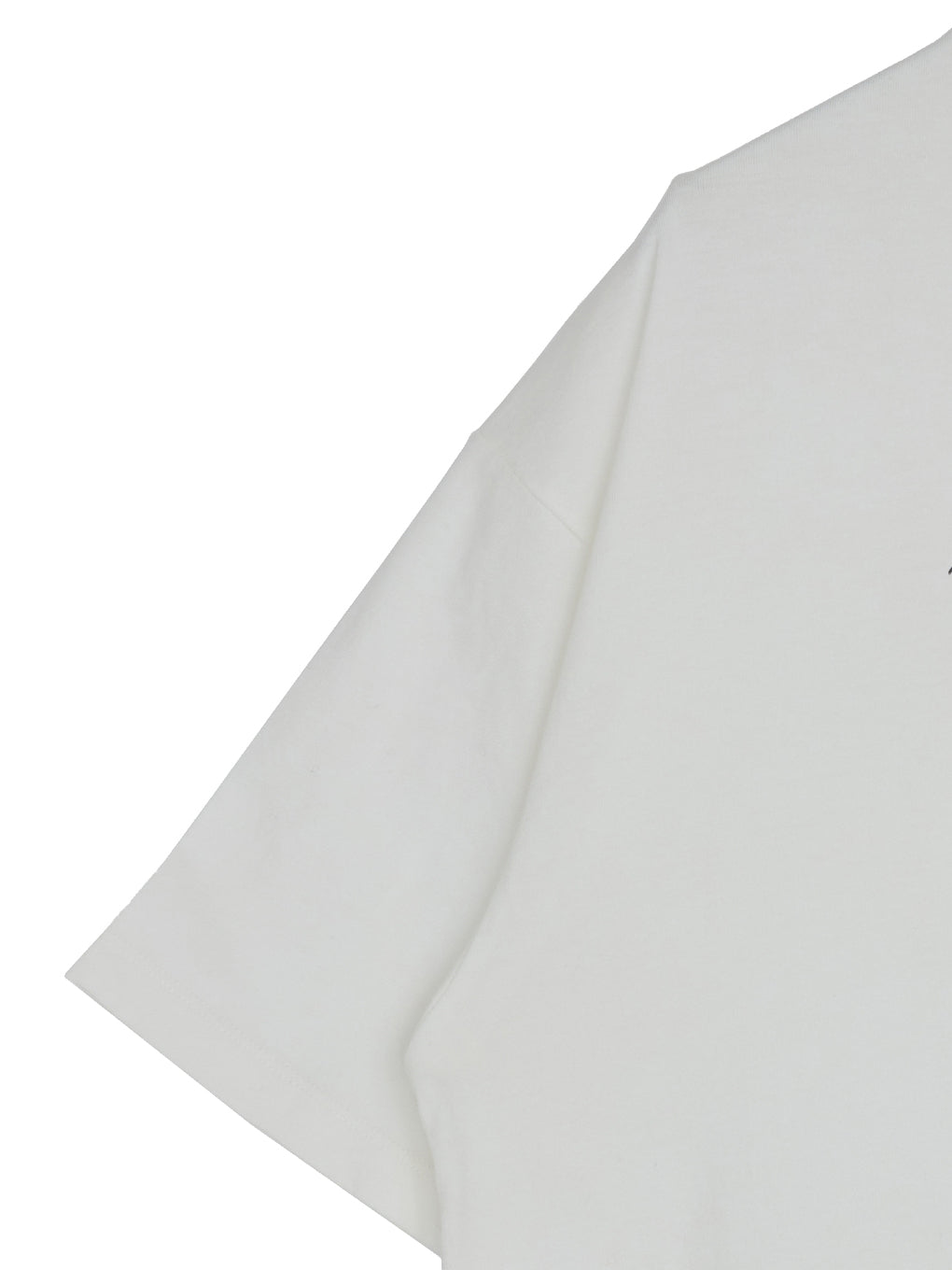 Fruit of the Loom × Ameri MELT FRUIT TEE