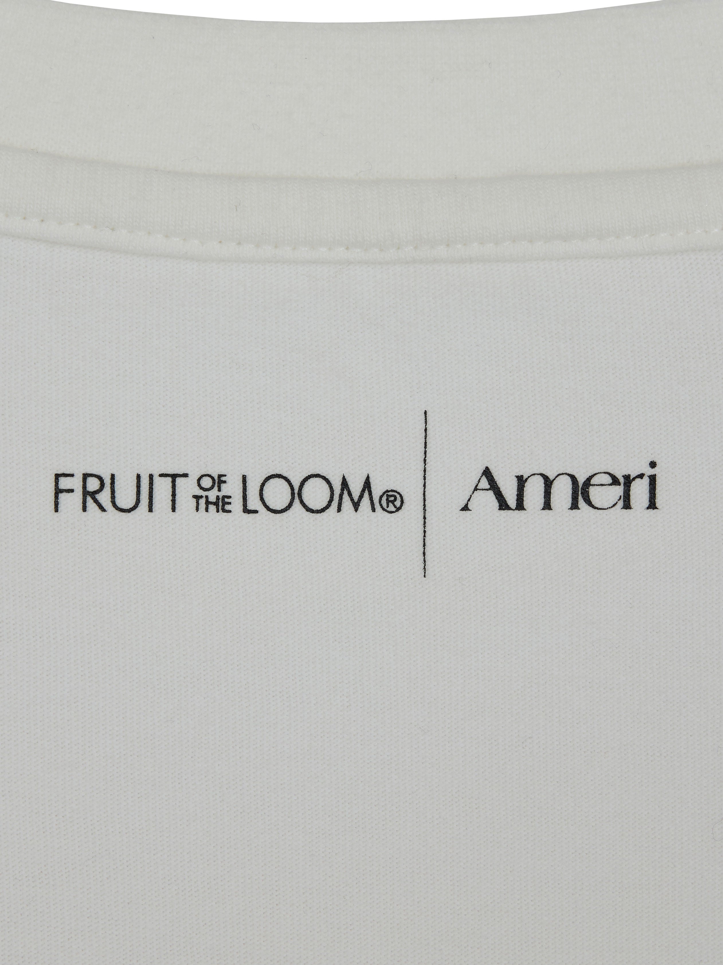 Fruit of the Loom × Ameri MELT FRUIT TEE