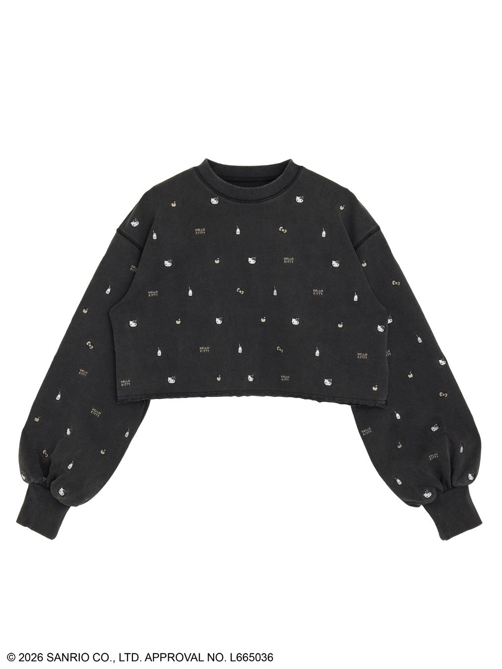HELLO KITTY×Ameri EMBROIDERY SWEAT TOP