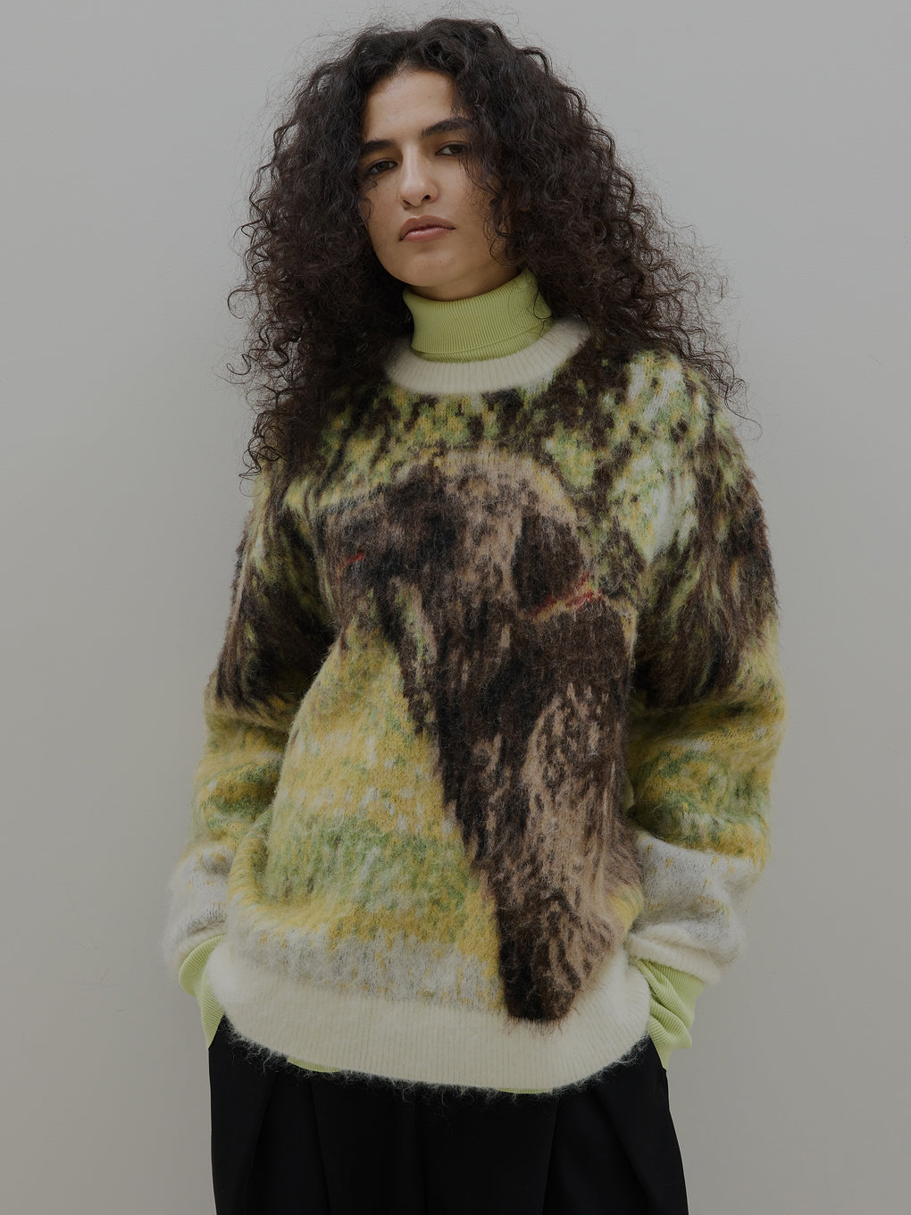 DOG MOHAIR JACQUARD KNIT TOP