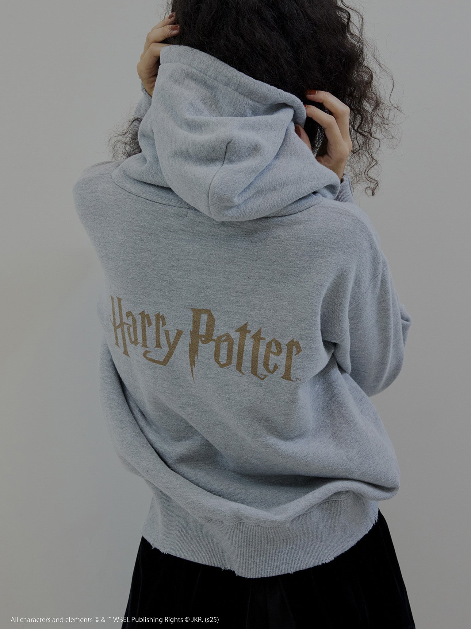 Harry Potter HEATHER HOODIE