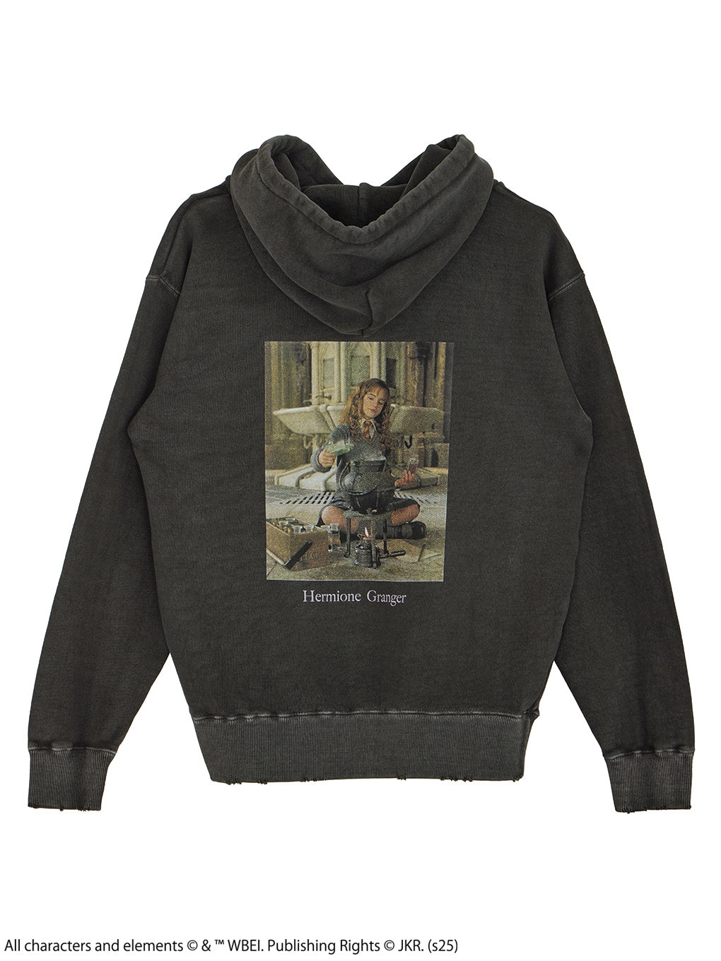 Harry Potter PIGMENT HOODIE