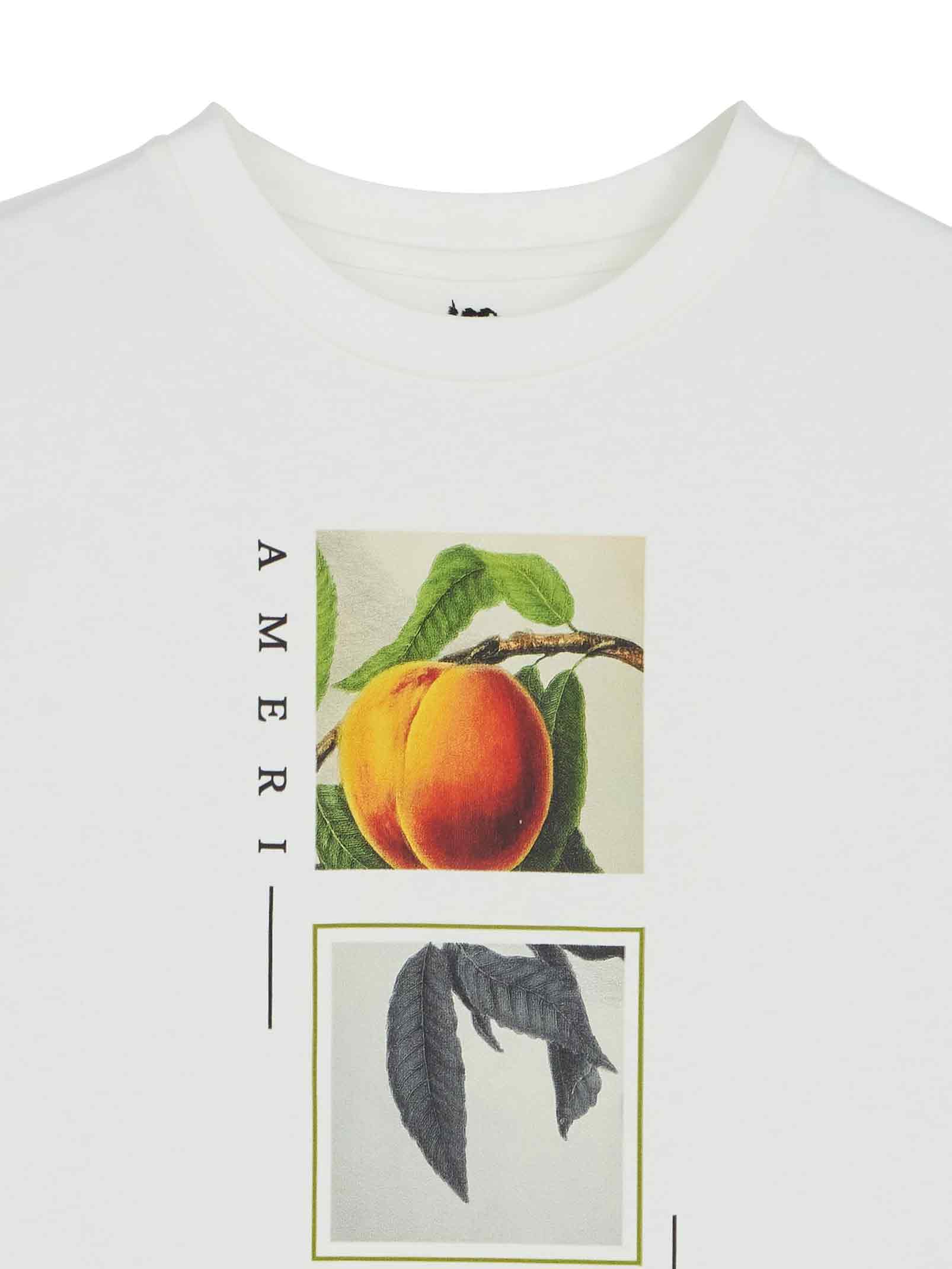 CROP FRAME PLUM TEE