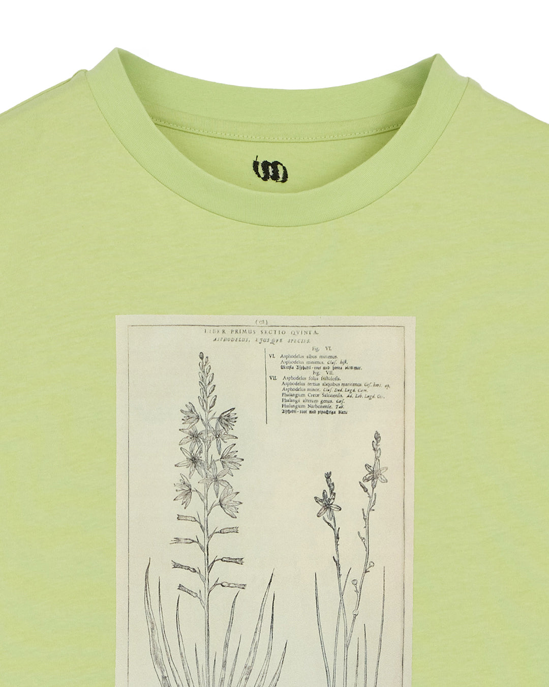 CROP FRAME FLOWER TEE