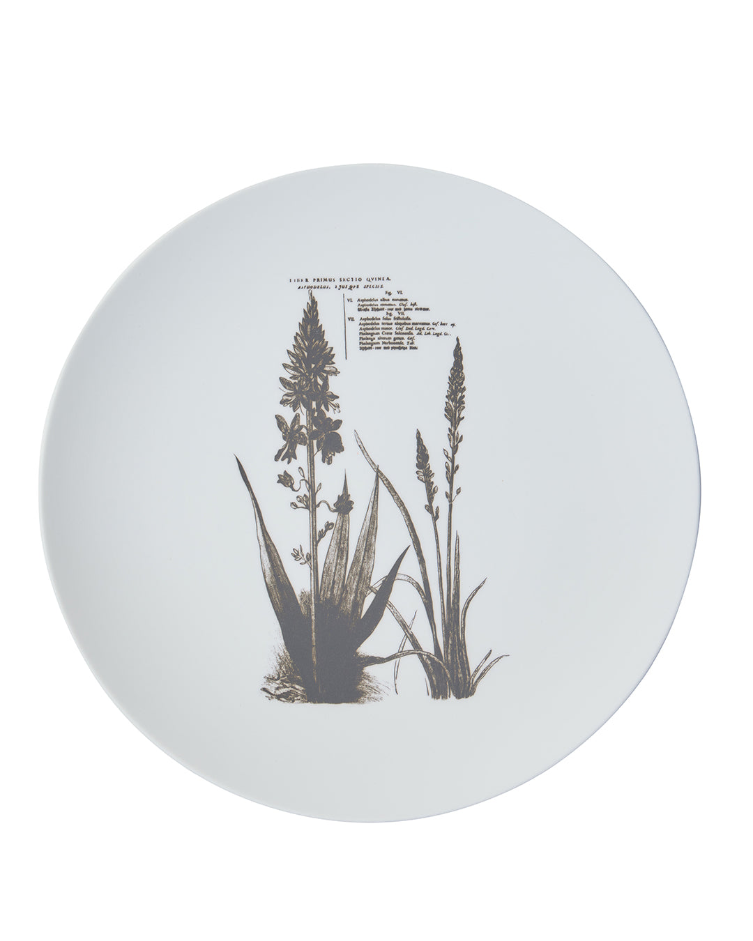 HATAMAN×Ameri FLOWER SMALL PLATE