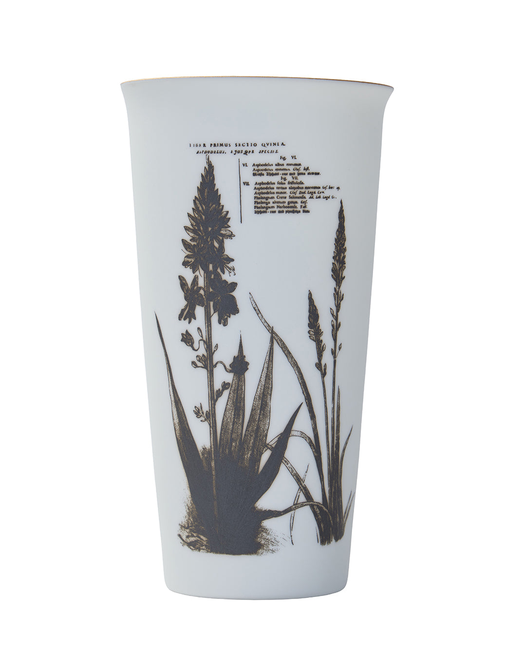 HATAMAN×Ameri FLOWER TUMBLER