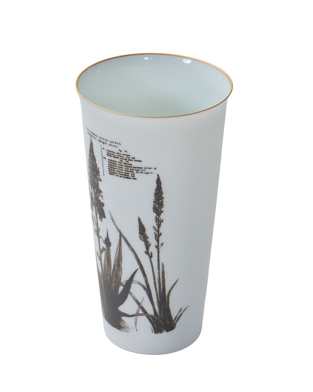 HATAMAN×Ameri FLOWER TUMBLER