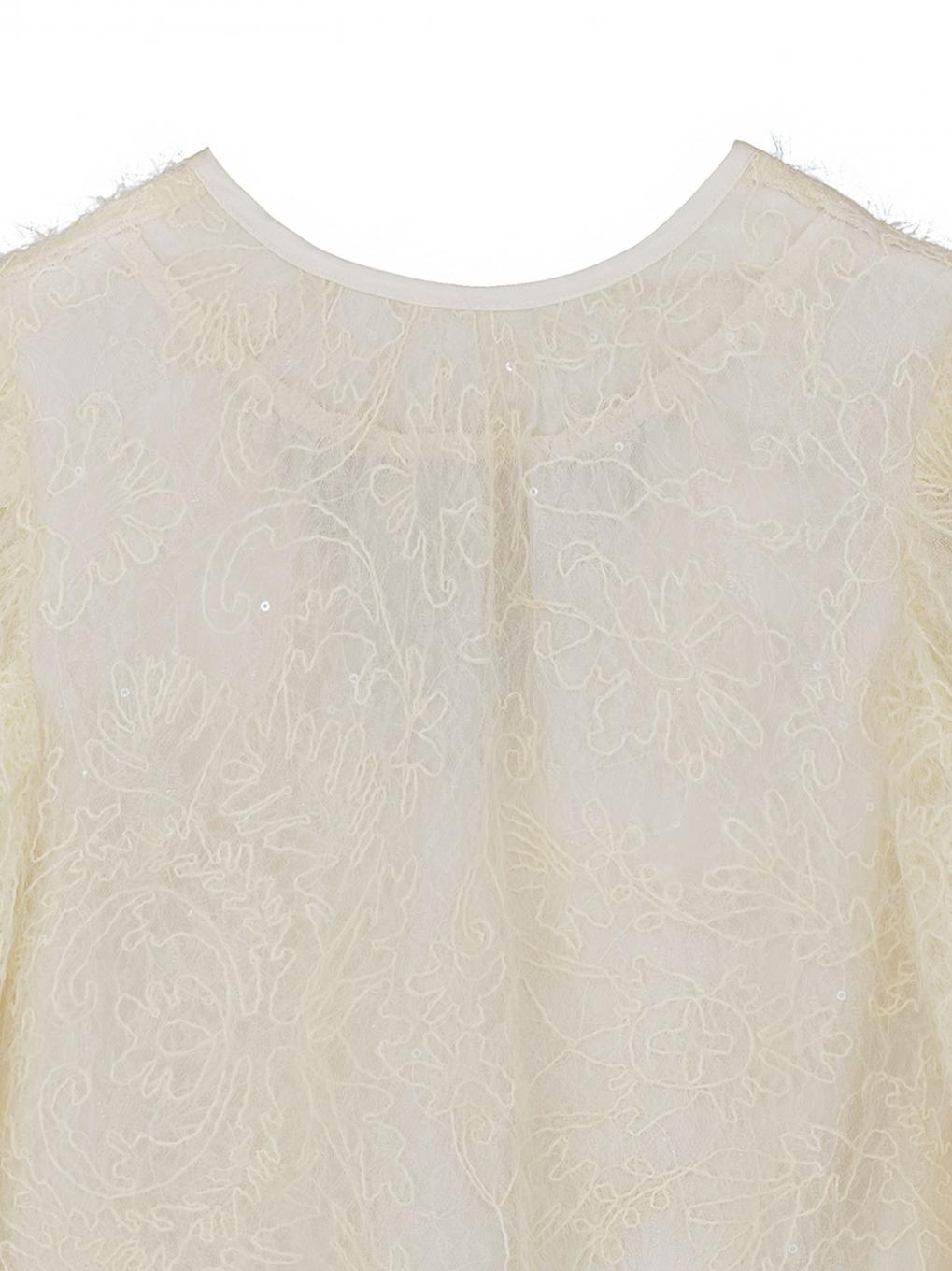 BRUSHED LACE VOLUME SLEEVE BLOUSE