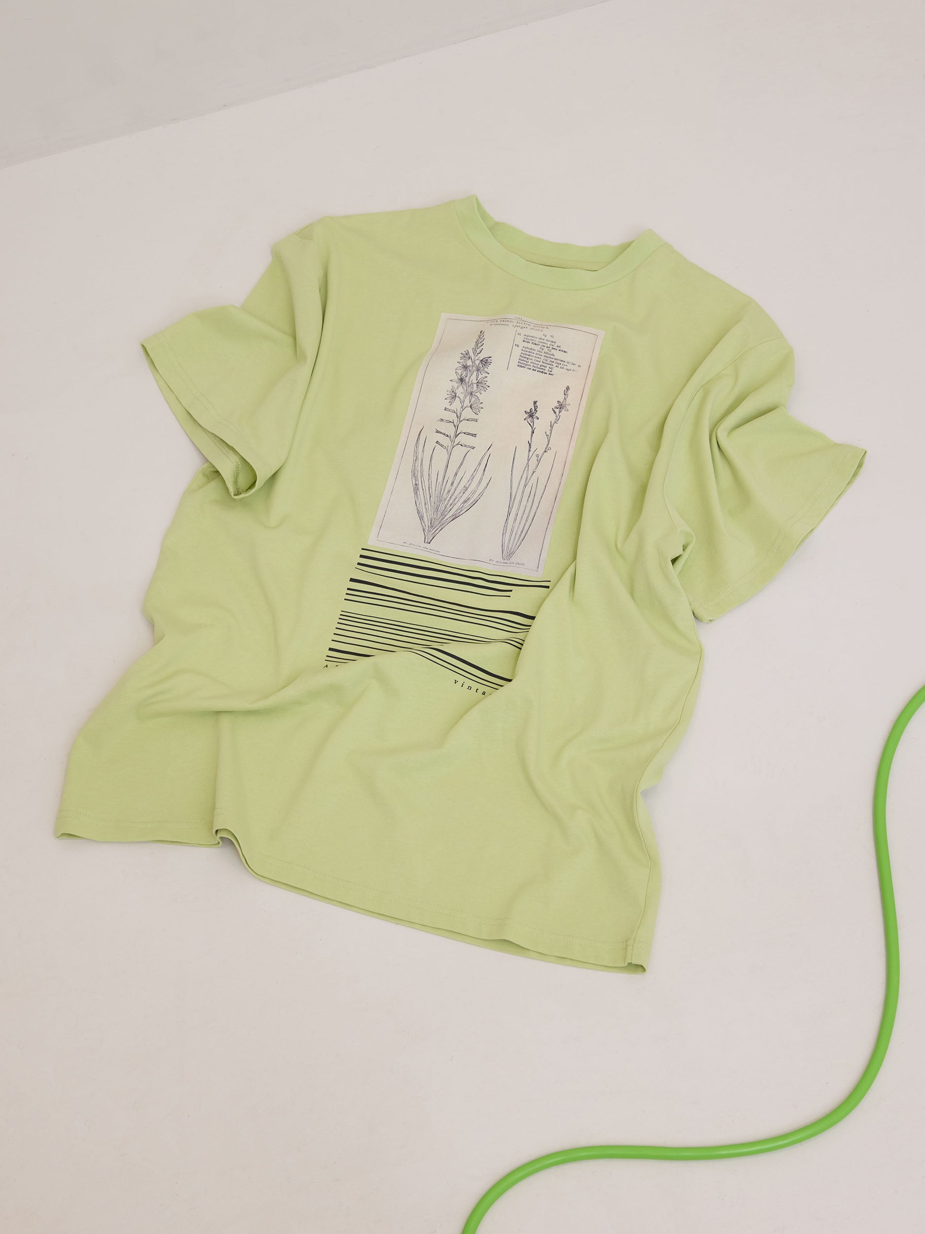 CROP FRAME FLOWER TEE
